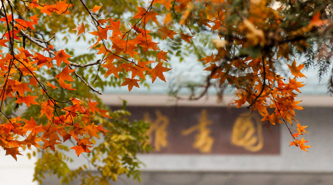 学校简介